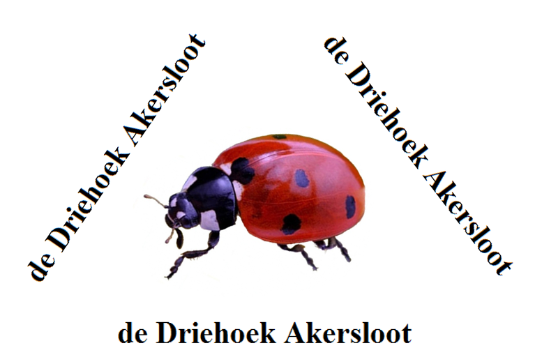 Logo De Driehoek
